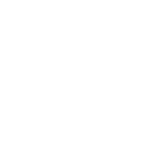 The Insulated Panel Store logo